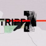 TRIPP-ի «լավագույն սցենարը»՝ տարեկան մինչև 15 միլիոն դոլար եկամուտ